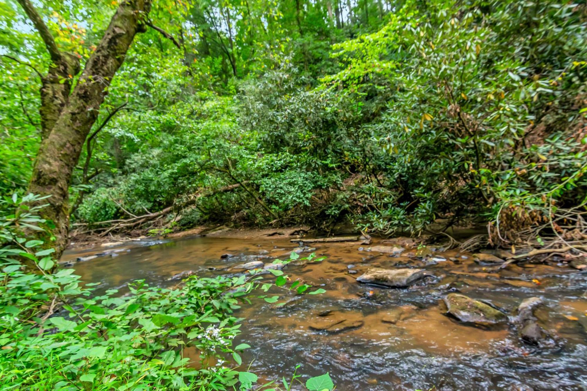 Amazing Creek View Cabin W/ Hot Tub, Firepit & Pool Table Ellijay Extérieur photo