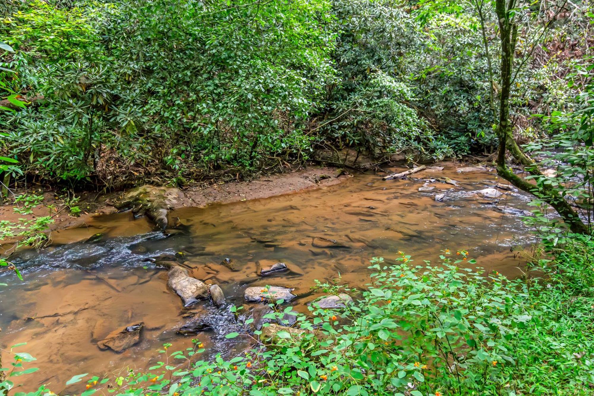 Amazing Creek View Cabin W/ Hot Tub, Firepit & Pool Table Ellijay Extérieur photo